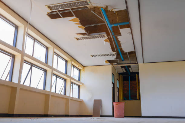 Best Flood damage cleanup  in Perryton, TX