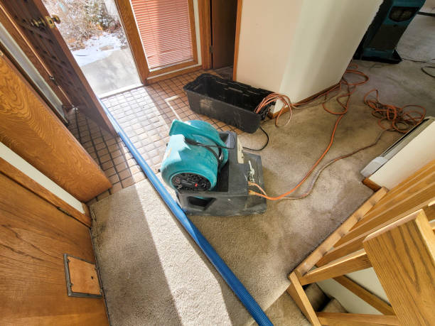 Best Local water damage restoration  in Perryton, TX