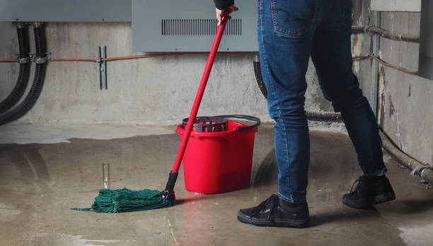 Best Basement water damage restoration  in Perryton, TX