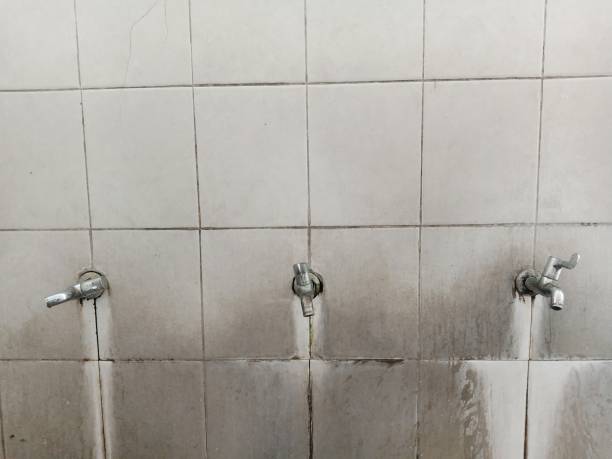 Best Professional water damage repair  in Perryton, TX