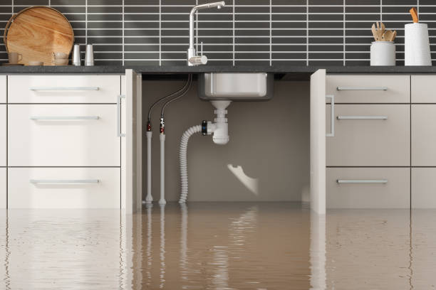 Best Fire Damage Restoration  in Perryton, TX