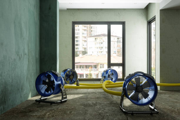 Best Water damage cleanup near me  in Perryton, TX